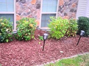 Bush Trimming by Rosemary Valle for Uzma C. in Sterling, VA