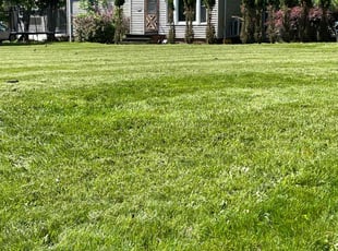 Melissa R.'s Yard Cutting service result