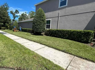 Bush Trimming by Feliciano Perez for Lilli K. in Tampa, FL