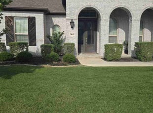 Bush Trimming by Toni Singsonexay for Ted A. in Boerne, TX