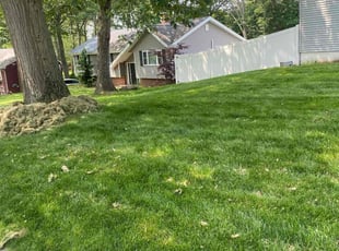 Cleanups by Christopher Frattalone for Victor B. in Trumbull, CT