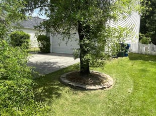 Dina M.'s Lawn Service service result
