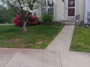 Dexter H.'s Lawn Mowing service result