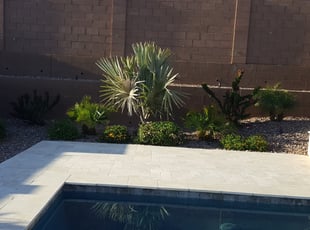 Bush Trimming by Chris Wayne for Logan M. in Peoria, AZ