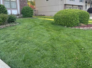 Ken B.'s Lawn Care service result