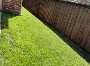 Joe F.'s Lawn Mowing service result