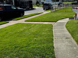 Razel C.'s Lawn Care service result