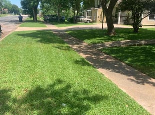 Rebecca C.'s Lawn Care service result