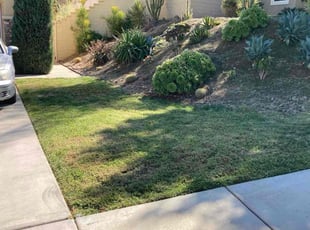 Srishti S.'s Lawn Service service result