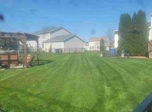 Vanessa W.'s Lawn Mowing Service service result