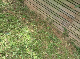 Weeding by Durand Turner for DeAngelo H. in Atlanta, GA