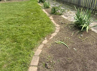 Weeding by Rachel Lewis for Ali O. in Baltimore, MD