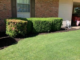 Jhonson A.'s Lawn Mowing service result