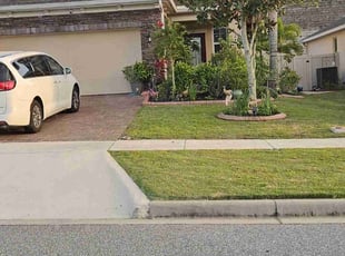 Anthony D.'s Lawn Maintenance service result
