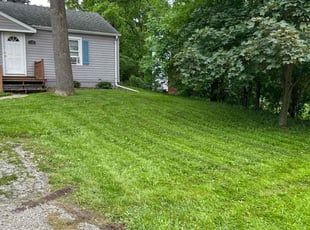 Bri G.'s Lawn Mowing service result