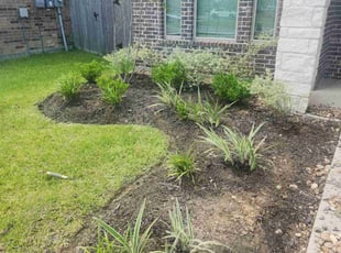 Weeding by Ashley Fields for Diego A. in Baytown, TX