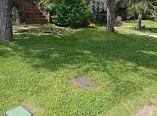 Connie H.'s Lawn Mowing service result