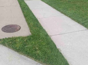 Shawn M.'s Lawn Mowing service result