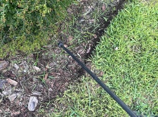 Weeding by Elvis Pintado for Aida H. in Odessa, FL