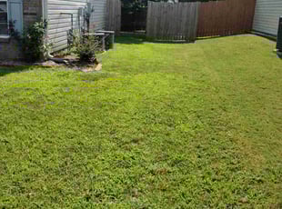 Janice K.'s Lawn Service service result