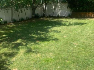 Angela S.'s Lawn Maintenance service result