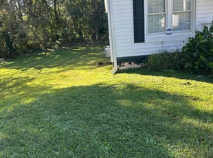 Kenneth L.'s Lawn Care service result