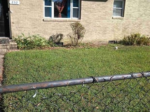 Bush Trimming by Sean Saulsby for Stewart B. in Norfolk, VA