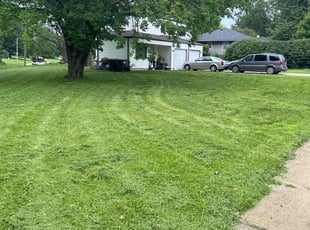 Brando B.'s Lawn Mowing service result