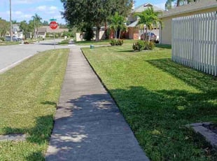Lori W.'s Grass Cutting service result