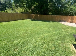 Terri C.'s Lawn Mowing service result