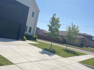 Adan E.'s Grass Cutting service result