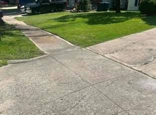Anthony H.'s Lawn Care service result
