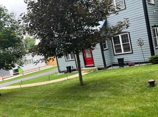 Dylan B.'s Yard Cutting service result