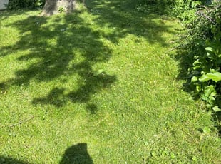 Christine D.'s Grass Cutting service result