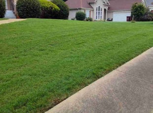 Allison S.'s Yard Cutting service result