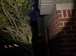 Bush Trimming by William Chauncey for Tracy W. in Theodore, AL