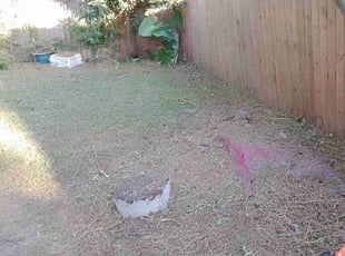 Cleanups by Shane Lewis for Kiyana W. in Gretna, LA