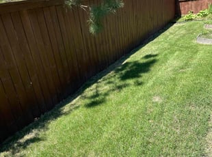 Tommy k.'s Lawn Maintenance service result