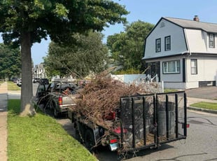 Cleanups by Josian Davila for Rosa R. in Springfield, MA