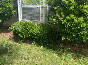 Bush Trimming by Gerald Oyerinde for Perry D. in Lithonia, GA