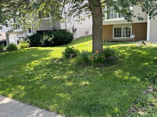Mary J. R.'s Lawn Mowing service result