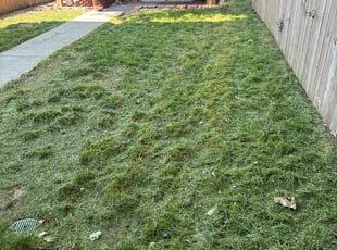 Maryann C.'s Lawn Mowing service result