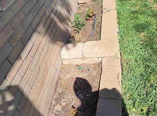 Weeding by Marc Giron for Taylor L. in Denver, CO