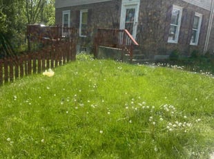 Leaf Removal by Joseph Smith for Alexis r. in Nottingham, MD
