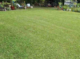 Damon T.'s Lawn Mowing Service service result