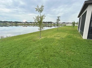 David R.'s Lawn Care service result