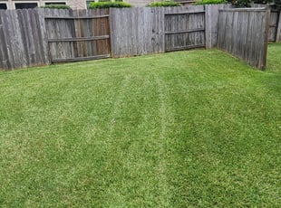 Margaret A.'s Lawn Mowing service result