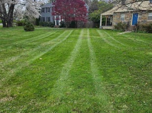 David D.'s Lawn Service service result