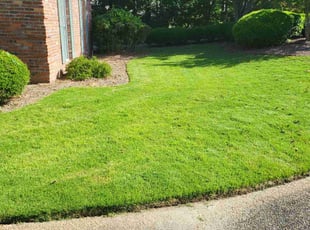 Derrick N.'s Lawn Mowing service result
