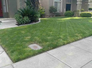 Loretta B.'s Lawn Service service result